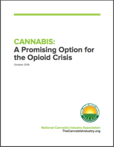 Cannabis: A Promising Option for the Opioid Crisis