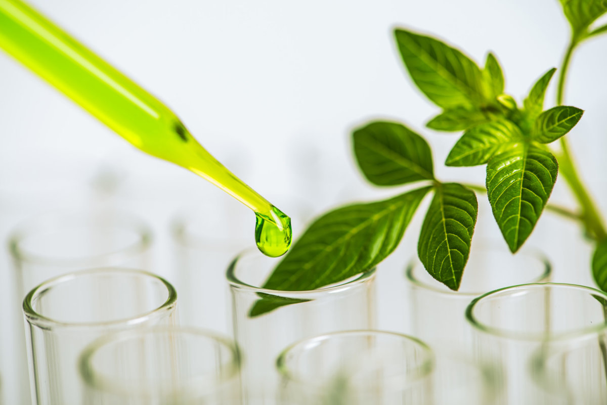 Member Blog: The Importance of Genetic Studies for Identifying Plant Mutations