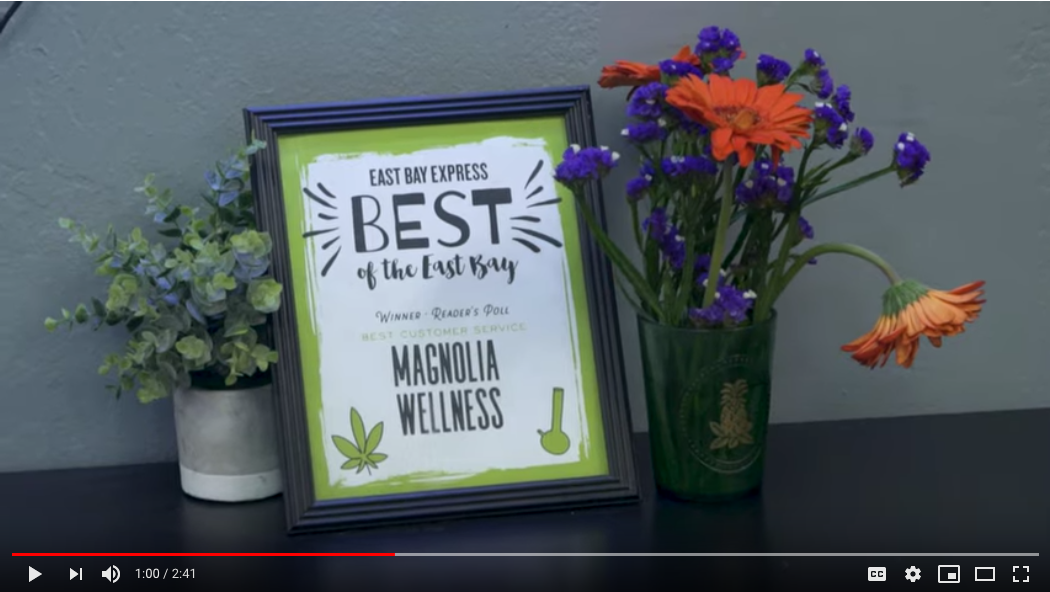 VIDEO: Member Spotlight – Magnolia Wellness