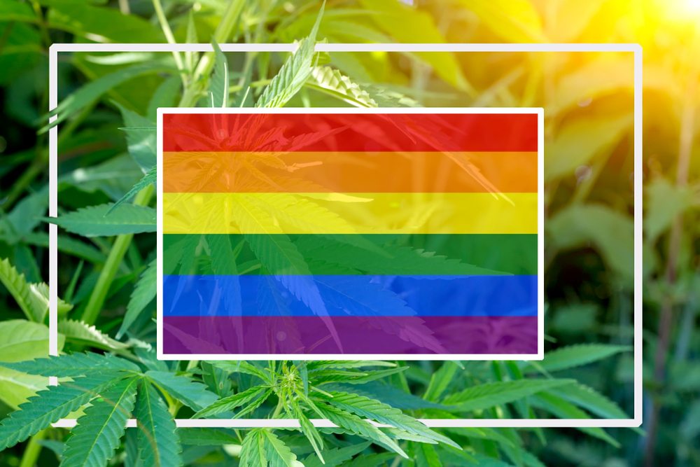 Member Blog: My Journey Through The Intersection of the LGBTQ Community and Cannabis Movement