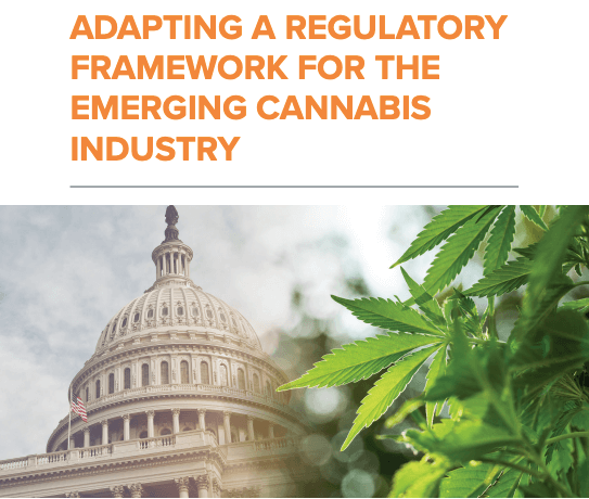 Adapting A Regulatory Framework For The Emerging Cannabis Industry