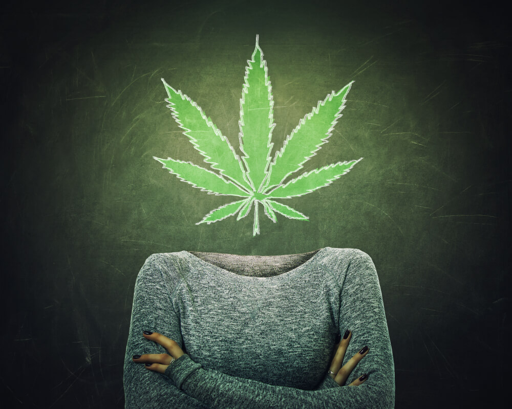 How to Become a Cannabis Blogger in 5 Steps - Potent