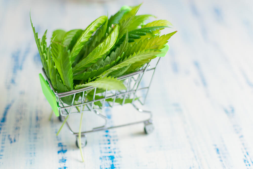 Member Blog: Key Metrics to Track & Mistakes to Avoid for Cannabis Retail Success in 2022