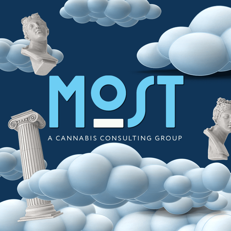Cannabis Consulting and Marketing Firm Goes Through Rebrand After 11 Years