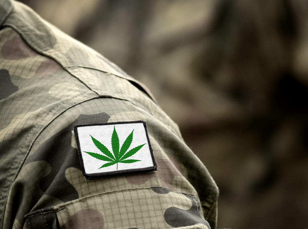 Veterans And Cannabis: A Discussion With Congressional Champions