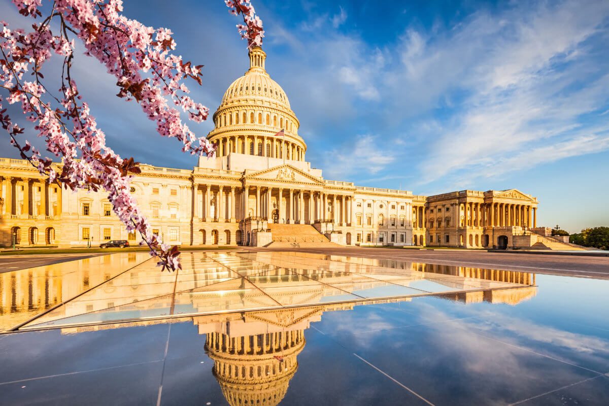 Spring Update from Capitol Hill – SAFE Banking, the MORE Act, and Appropriations