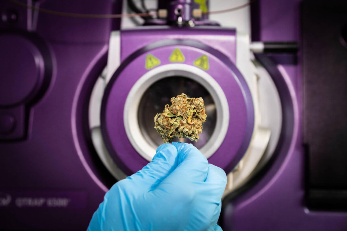 MCR Labs Announces First Annual “Cannabis Science Fair,” Begins Accepting Submissions