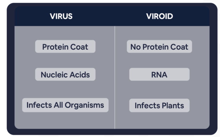 Member Blog: What Growers Should Know About Hop Latent Viroid