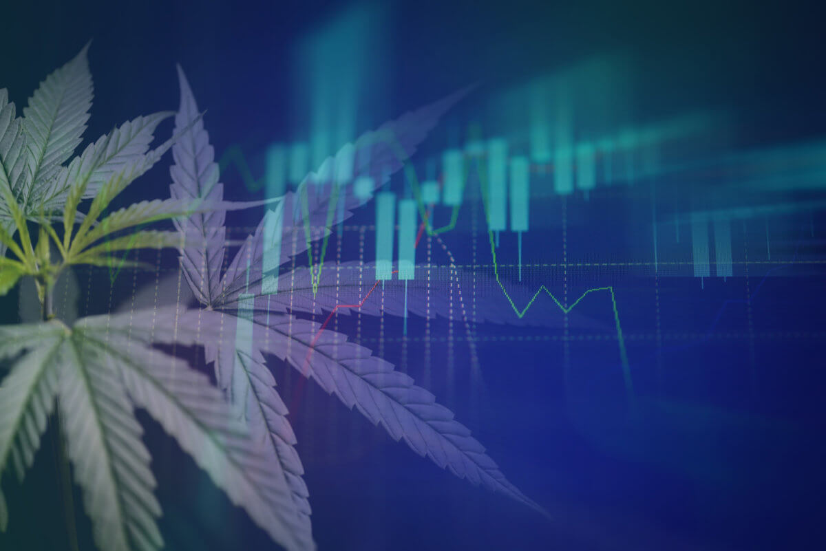 Member Blog: From Hazy to Clear – Incorporating Data in your Cannabis Business