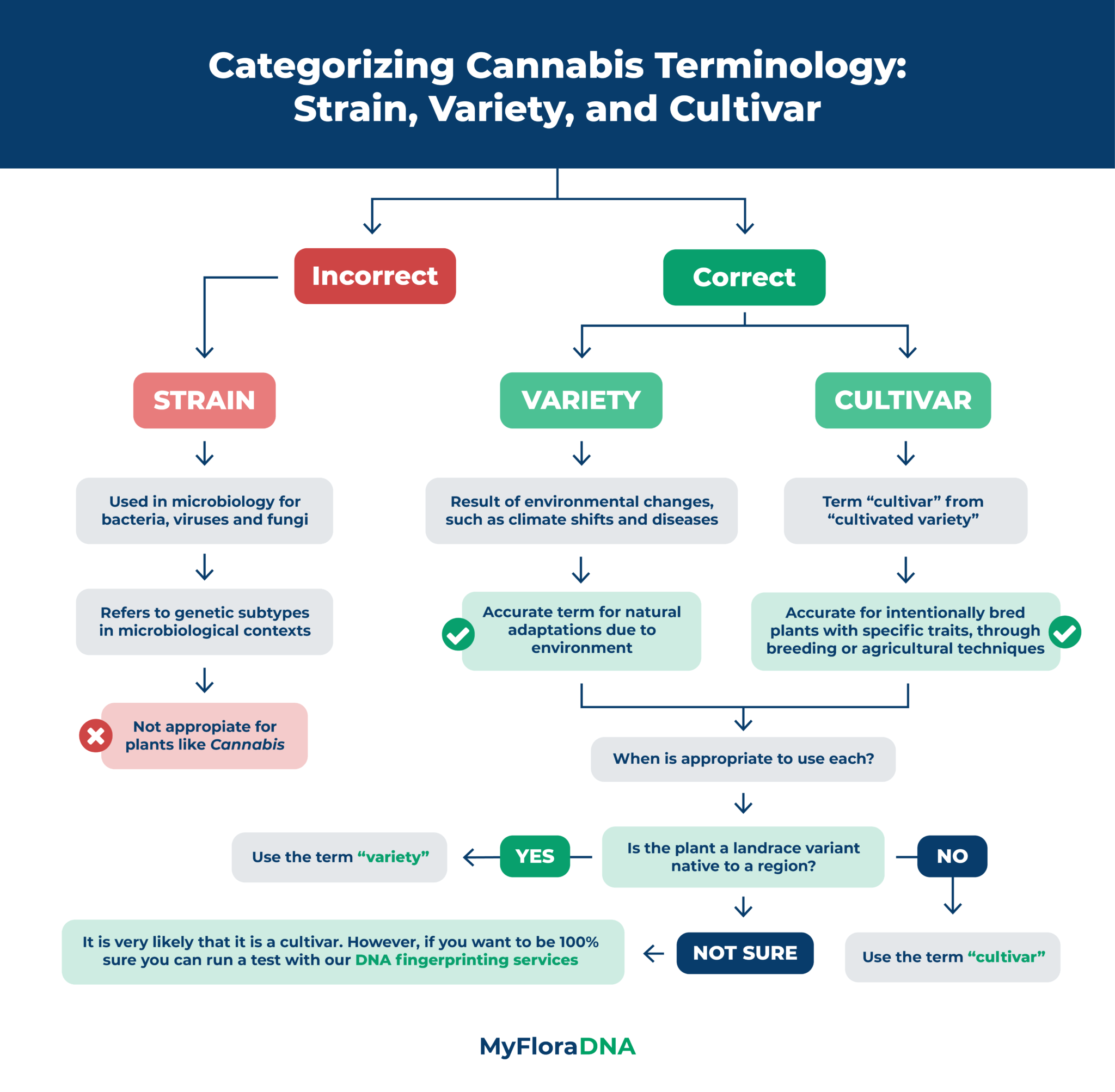 Member Blog Cannabis Strain, Cultivar, or Variety? What Is the Correct