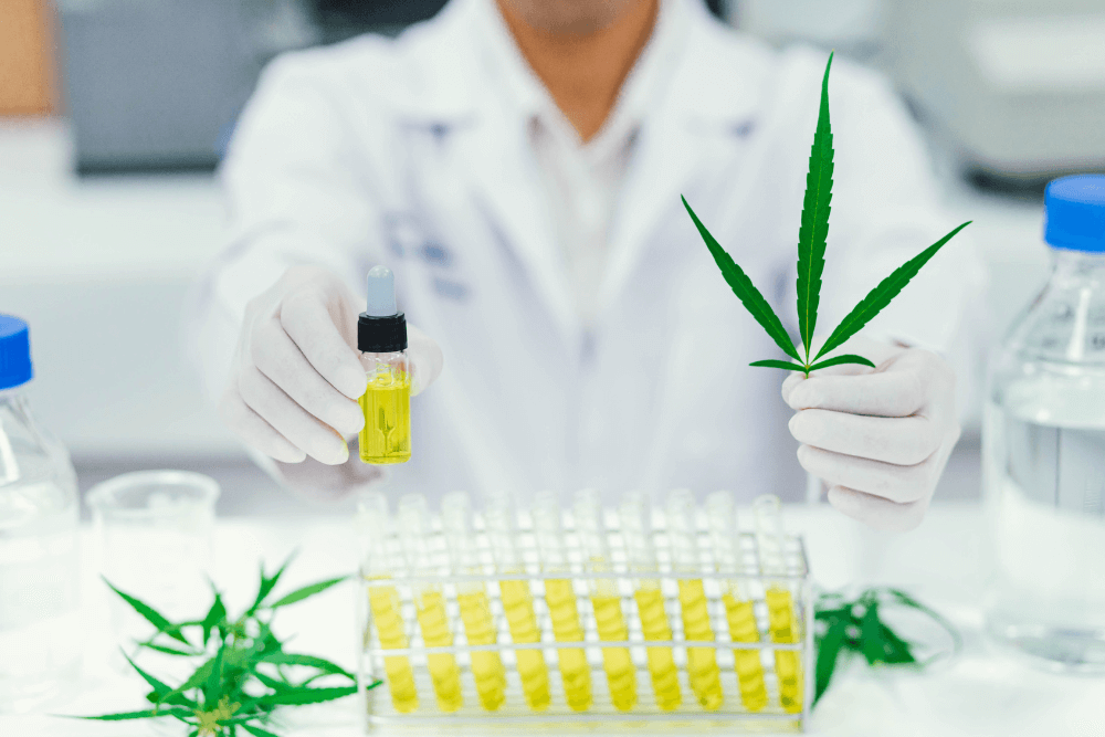 Member Blog: Breaking Ground – Maryland’s Leading Role in Cannabis Testing Standards