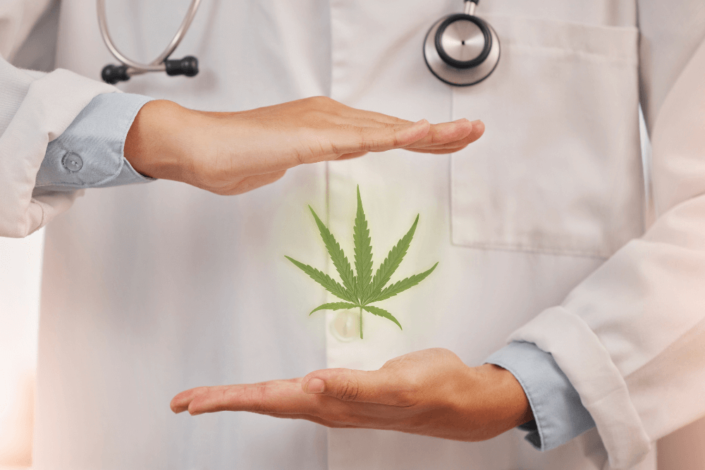 Wellness at Work: Preventative Healthcare for Cannabis Business Owners