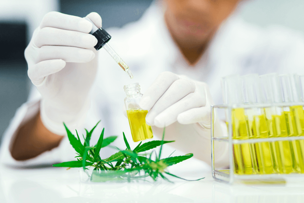 Member Post: Amazon’s “Hemp” Products Are Lying to You, New CBD Oracle Lab Study Finds