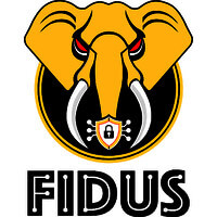 Fidus Security Solutions