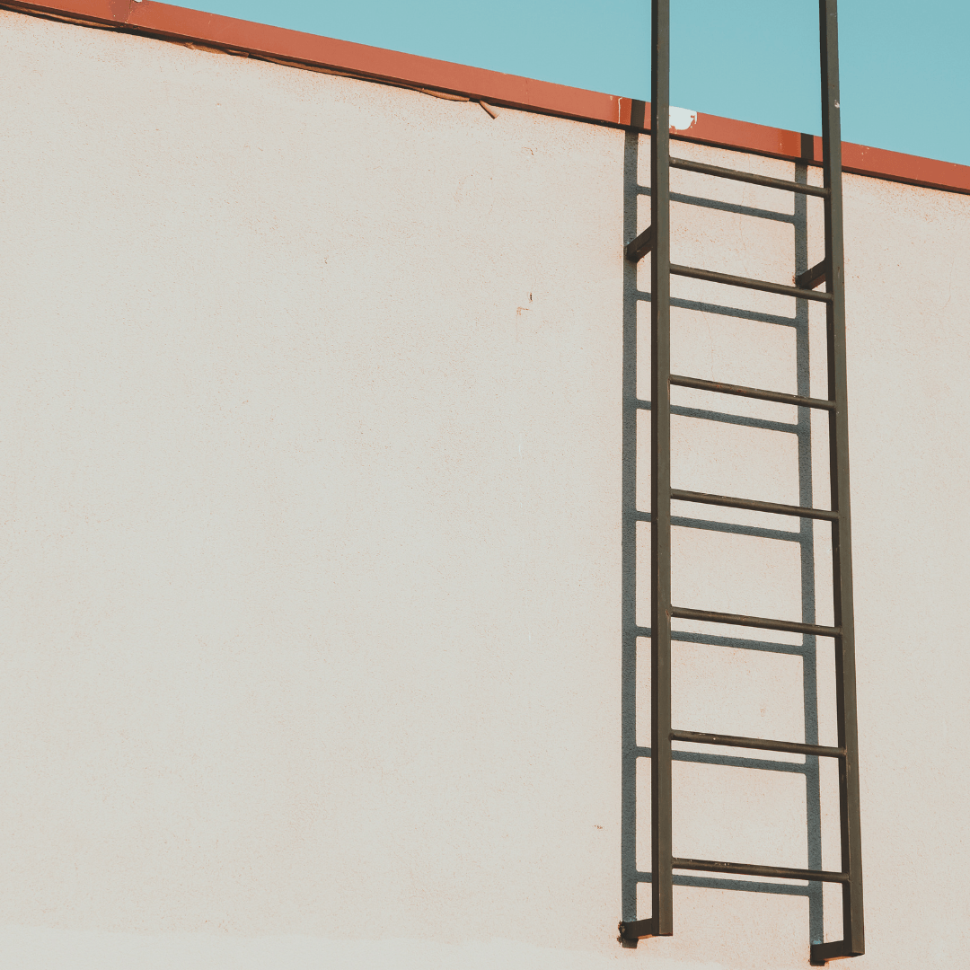 Committee Blog: Access to Capital in the U.S. Cannabis Market Outlook