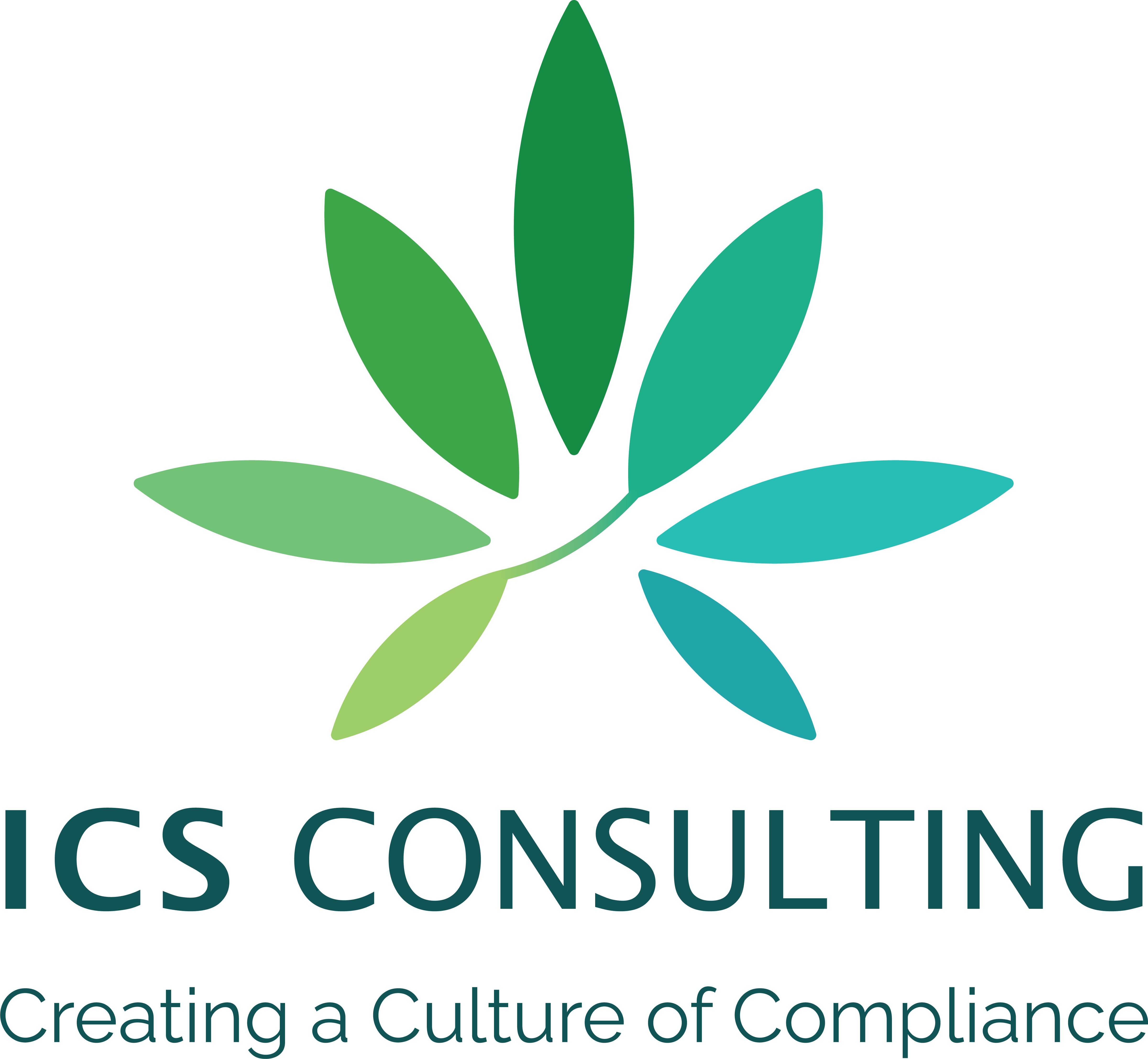 ICS Consulting Service